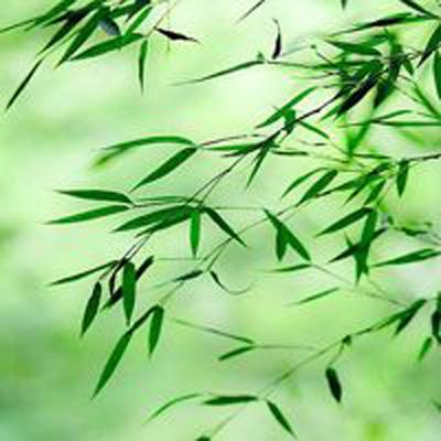想不想双修内购破解版下载