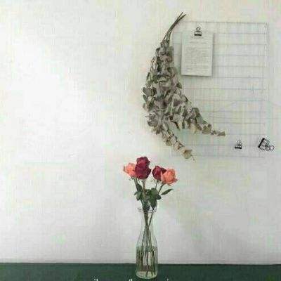 烟花模拟世界最新版游戏盒子下载
