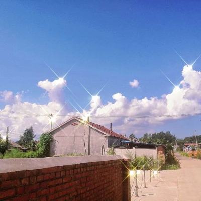 九界仙梦公益服下载